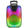 IQ Sound 12" Portable Bluetooth DJ Speaker