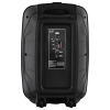 IQ Sound 12" Portable Bluetooth DJ Speaker